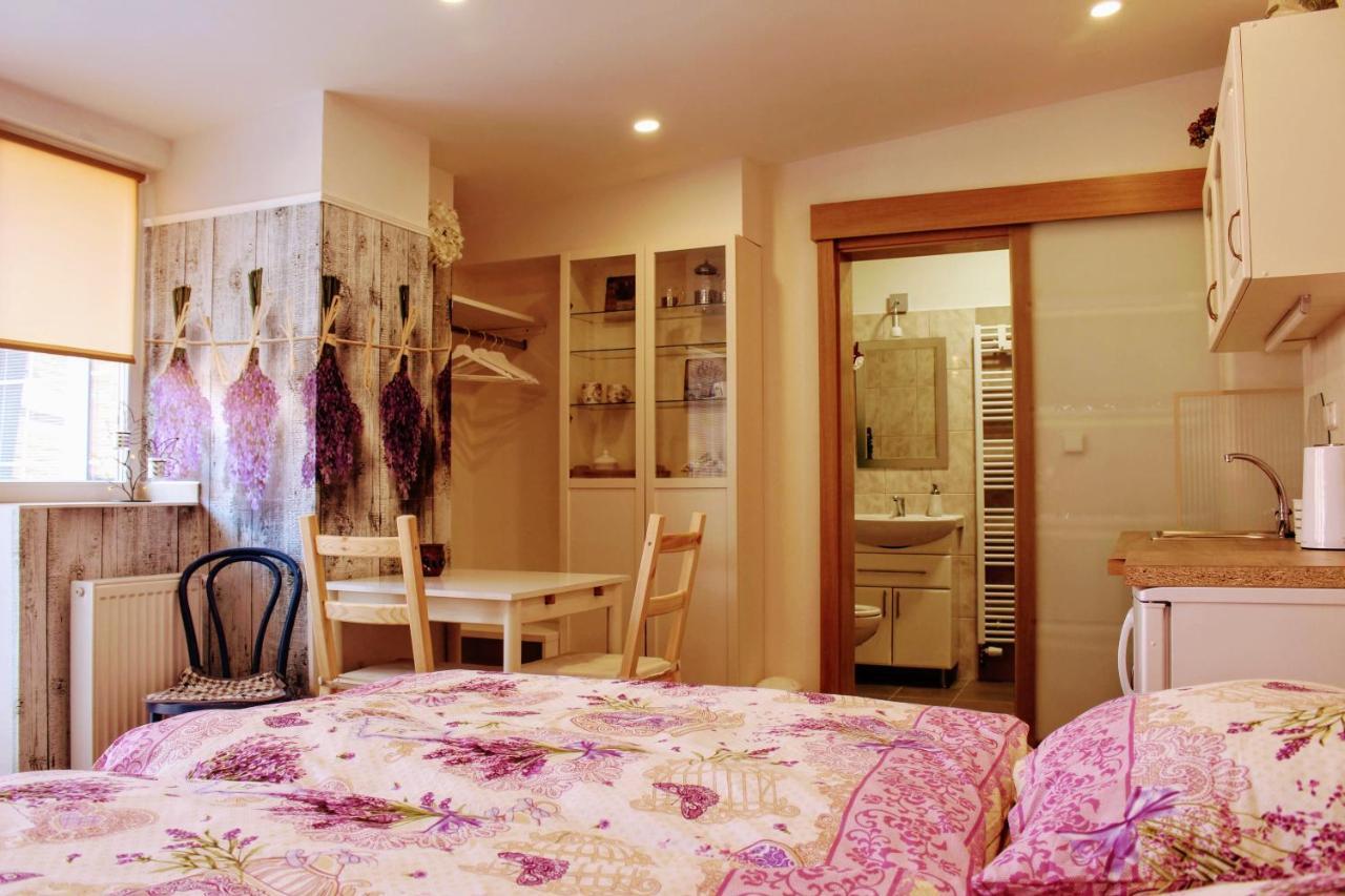 Apartma Za Kopcem Boskovice Zewnętrze zdjęcie